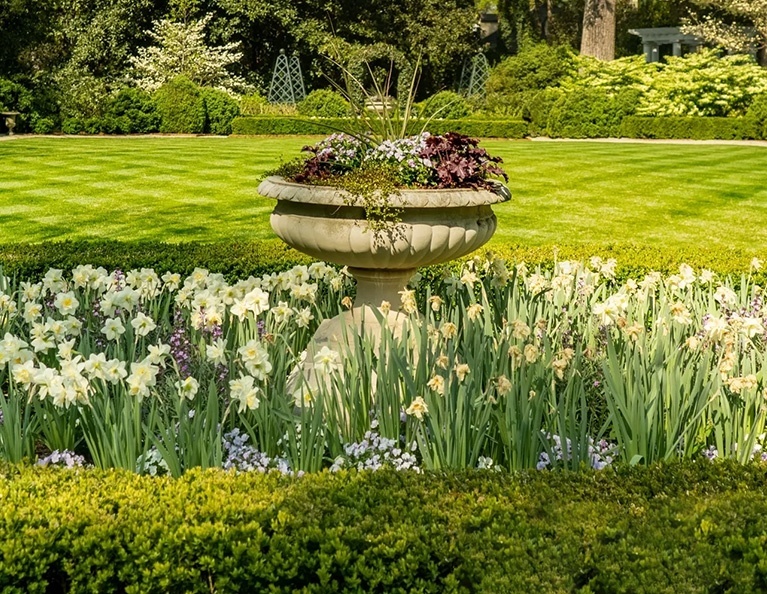 Commercial Landscape Design &amp; Build