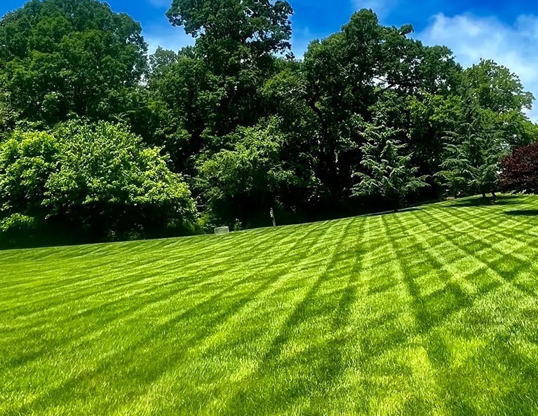 Commercial Landscape Maintenance