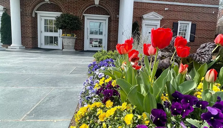 Boosting Business Curb Appeal with Commercial Landscaping