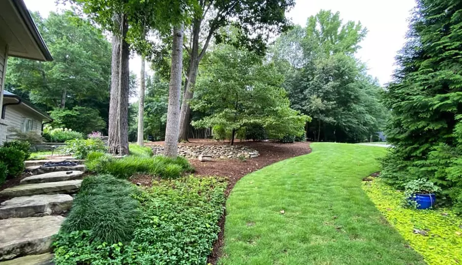 How Professional Design Transforms Landscapes