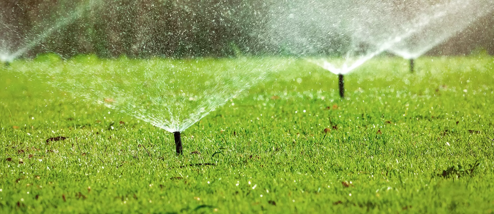 Commercial Landscape Irrigation