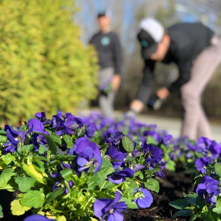 landscape design build maintenance 2